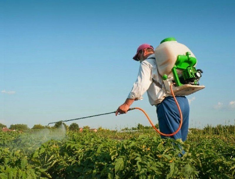 Пестициды гербициды инсектициды фунгициды