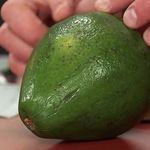 Вес авокадо