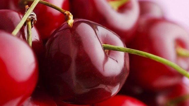 О лучших сортах вишни для Подмосковья: описание и характеристики, как сажать