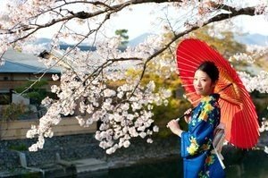 Япония фудзияма кимоно сакура