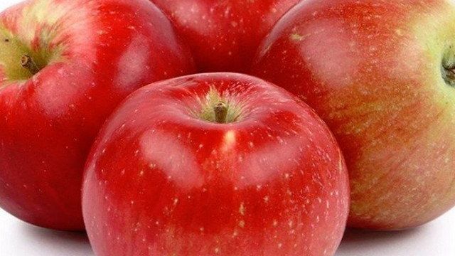 Яблоня сорта Прима: особенности выращивания и ухода
