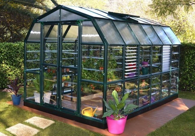 Теплица greenhouse