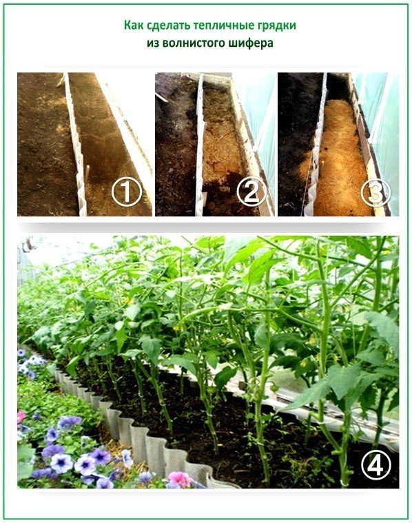 Технология выращивания овощей в теплицах по методу митлайдера