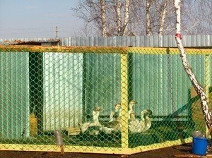 Забор из пластиковой сетки рабицы