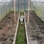 Обработка теплицы после сбора урожая: дезинфекция почвы и другие мероприятия