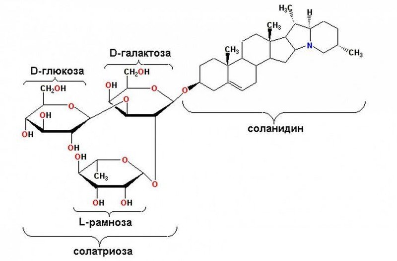 Глюкоза структурная формула