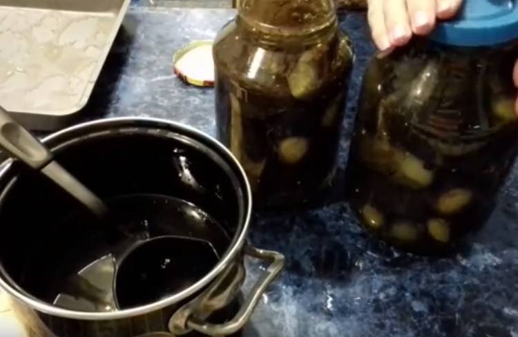 Засолка баклажанов холодным способом рецепт без стерилизации