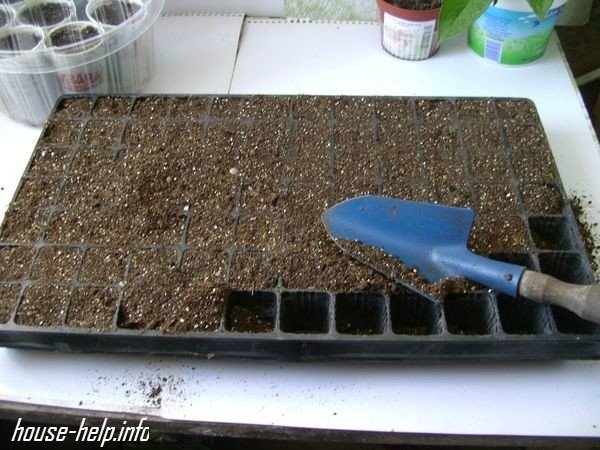 Подготовка почвы для рассады