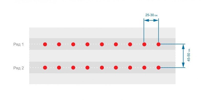 Схема посадки клубники на агроволокно в шахматном порядке