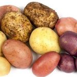 Что такое картофель: описание, особенности строения и размножения