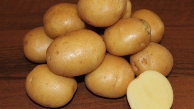 Картофель Колобок: характеристики сорта, как хранить, отзывы