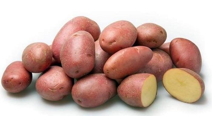 Ред скарлет картофель характеристика