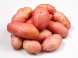 Сорт картофеля шери