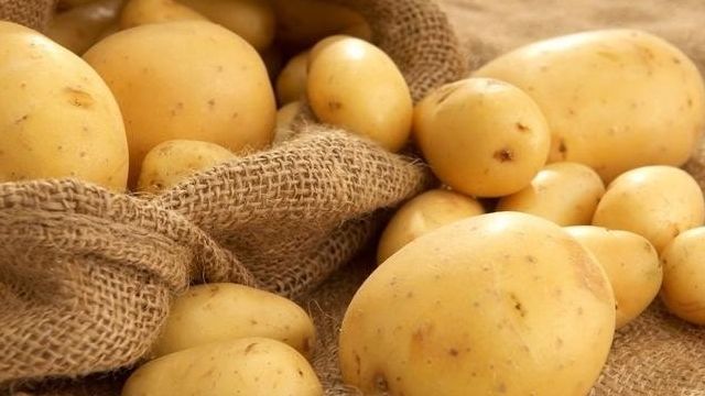 Как проращивать картофель перед посадкой в домашних условиях и на даче