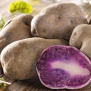 Фиолетовый картофель здравень
