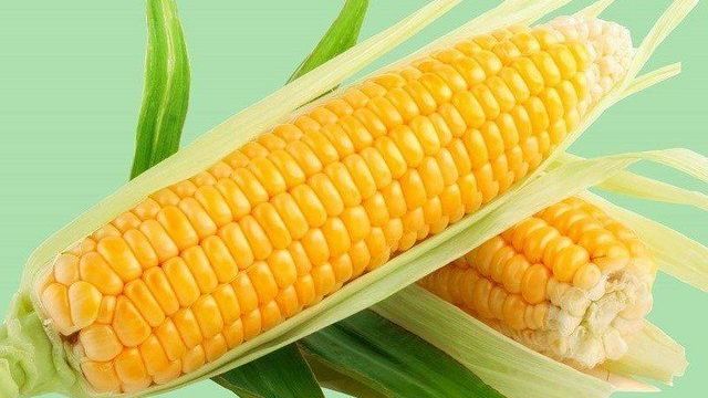 От кукурузы болит желудок
