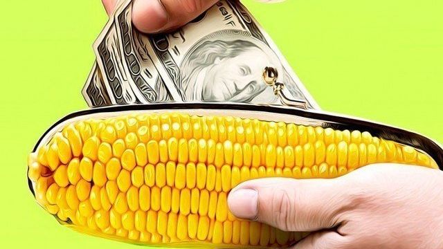Как перевести деньги на Кукурузу?