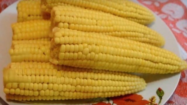 Как сварить початки кукурузы вкусно и быстро
