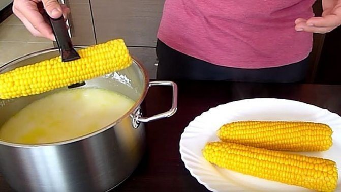 Сварить кукурузу в кастрюле вкусно и быстро