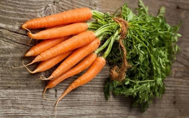 Сорта моркови длинной