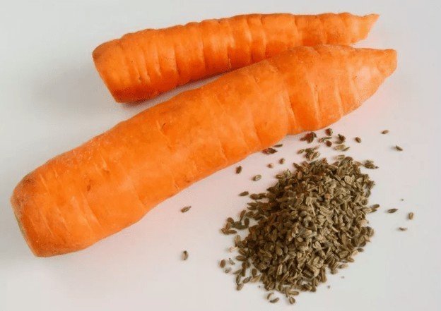 Морковь петрушка пастернак