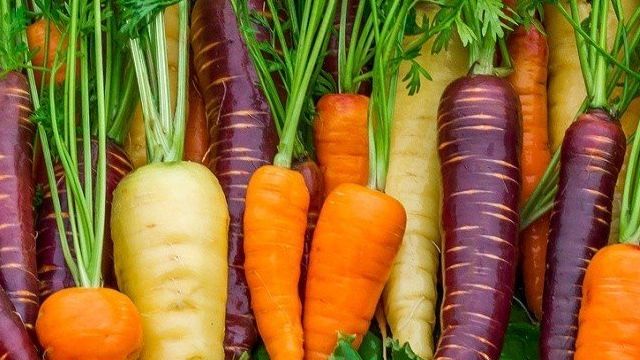 Когда сажать морковь: сроки посадки весной и осенью