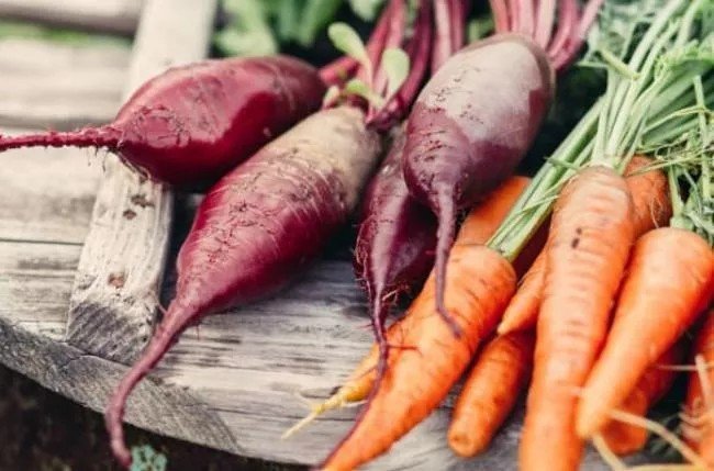 Урожай свеклы с морковью