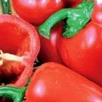 Сладкий перец Винни-Пух: способы выращивания, отзывы, фото