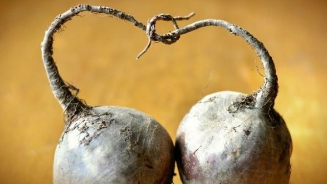 3 хитрости выращивания свеклы, которые помогут получить крупные корнеплоды