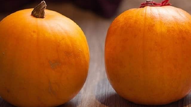 Чем хороша тыква «Кустовая оранжевая» и почему её стоит попробовать вырастить на своем участке