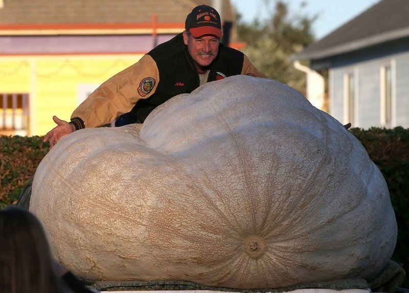 Самая большая тыква в мире
