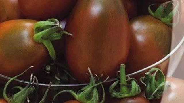 Популярные сорта чёрных томатов и их особенности