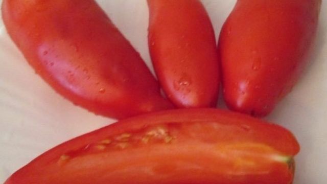 Сорт помидора «Жемчужина Сибири»: фото, отзывы, описание, характеристика, урожайность
