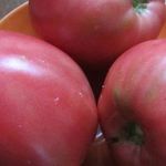 Томат Батяня: отзывы с фото, характеристика и описание сорта помидоров, секреты повышения урожайности