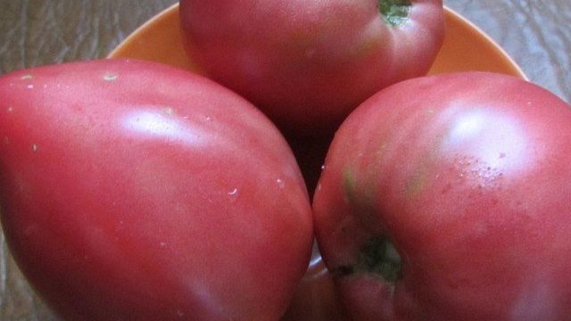 Томат Батяня: отзывы с фото, характеристика и описание сорта помидоров, секреты повышения урожайности