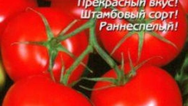Популярные среди дачников помидоры «Красная шапочка»: описание сорта и инструкция по его самостоятельному выращиванию