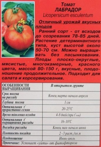 Сорт томата лабрадор улучшенный