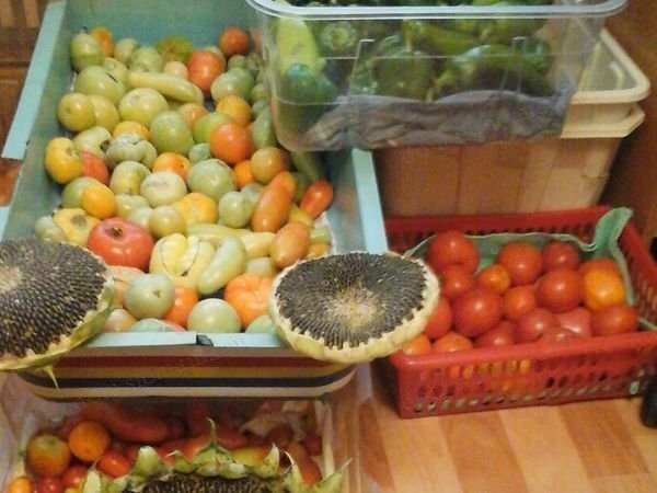 Абхазские овощи и фрукты