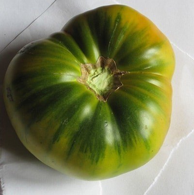 Малахитовая шкатулка томат сорт