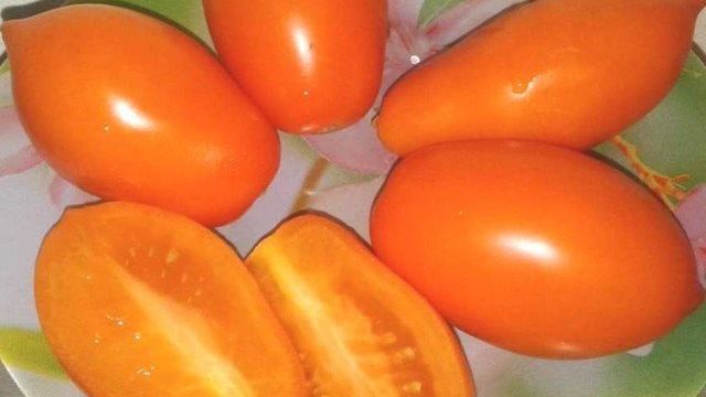 ᐉ Томат "Золотая рыбка" описание сорта и фото вкусных помидорок