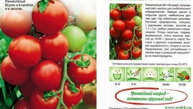 Яблонька России – томат российских селекционеров для «ленивых»