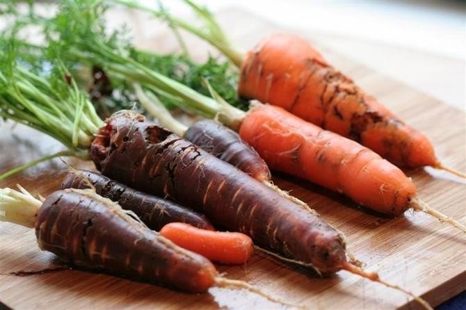 Морковная муха на моркови