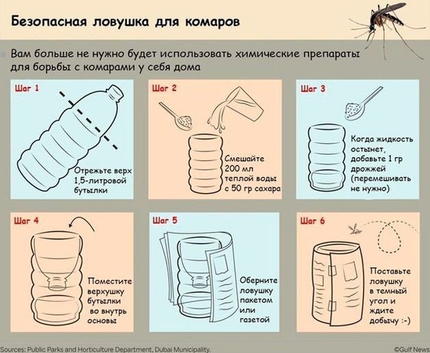Ловушка для комаров из бутылки и дрожжей
