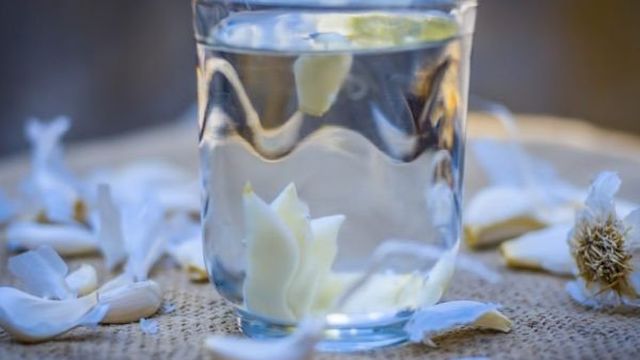 Панацея для орхидей: чесночная вода. Чесночная вода для орхидей: как правильно приготовить и применять Почему полезен чеснок для орхидей