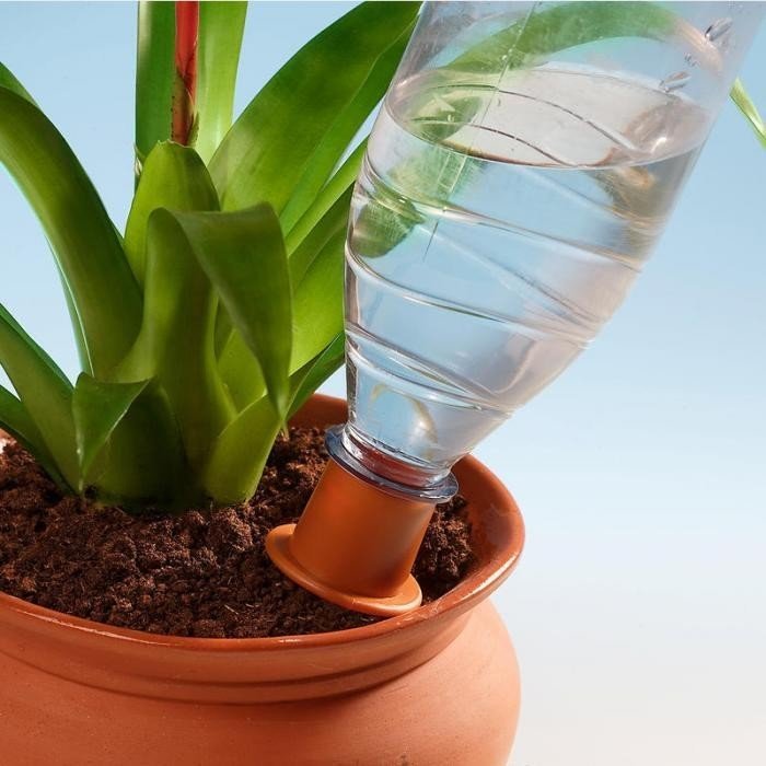 Автополив из бутылки для комнатных растений