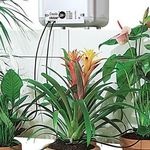 Расход воды при капельном поливе комнатных растений