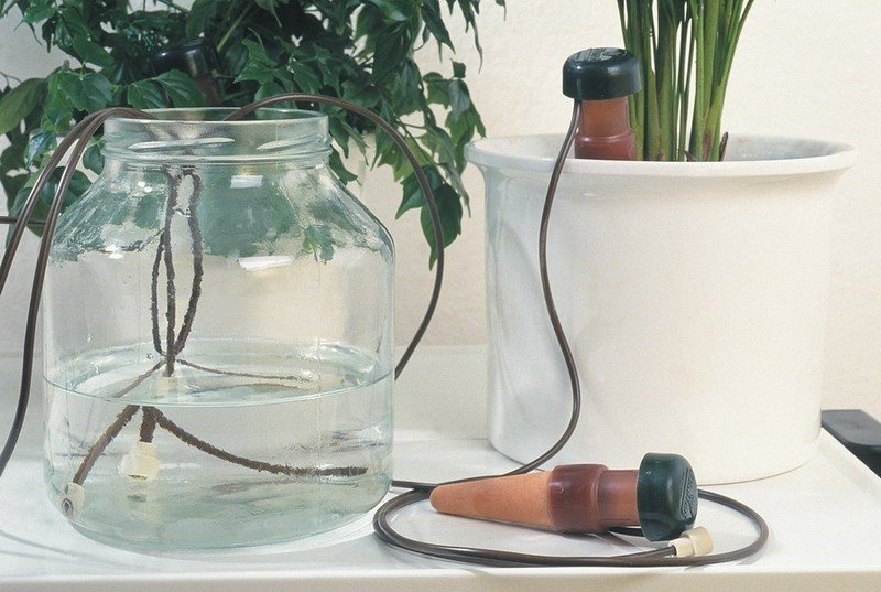 Система капельного полива для комнатных растений