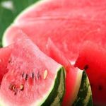 Арбуз Кай: описание сорта и специфика выбора спелой ягоды