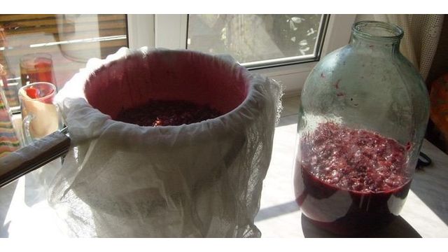 Как сделать вино из красной, чёрной или белой смородины в домашних условиях