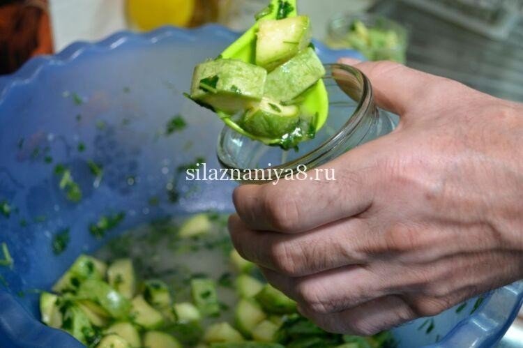 Зеленый салат с авокадо и огурцом